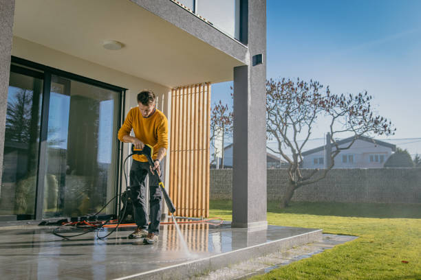 Best Roof Washing  in Frankfort, MI