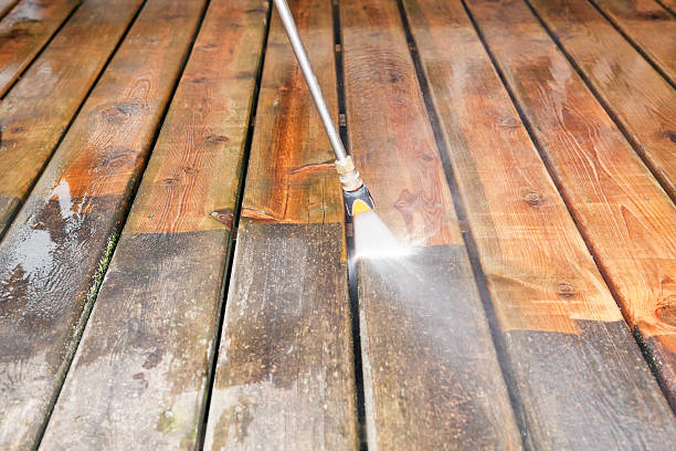 Best Dumpster Area Cleaning  in Frankfort, MI